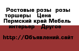 Ростовые розы, розы торшеры › Цена ­ 2 500 - Пермский край Мебель, интерьер » Другое   